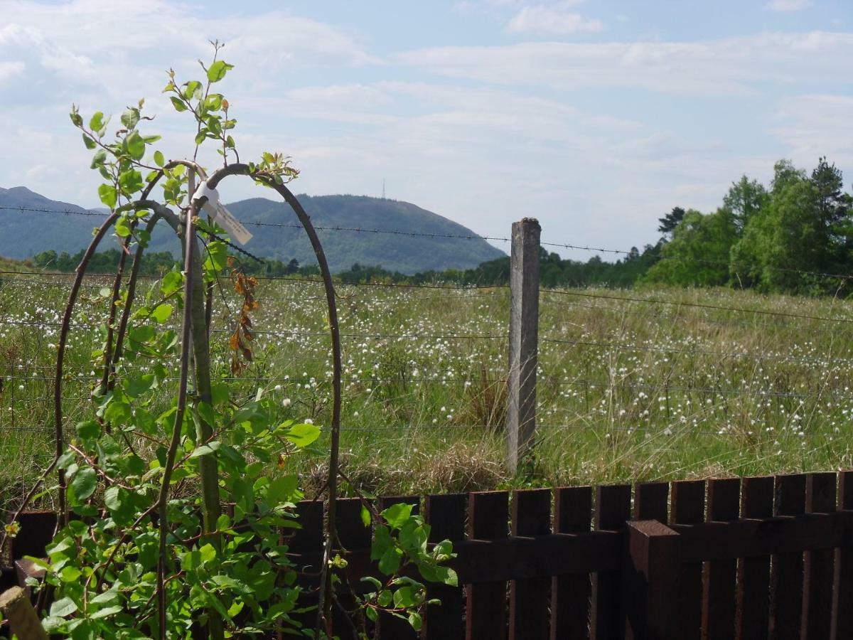 Tower Ridge Apartments Fort William Bagian luar foto